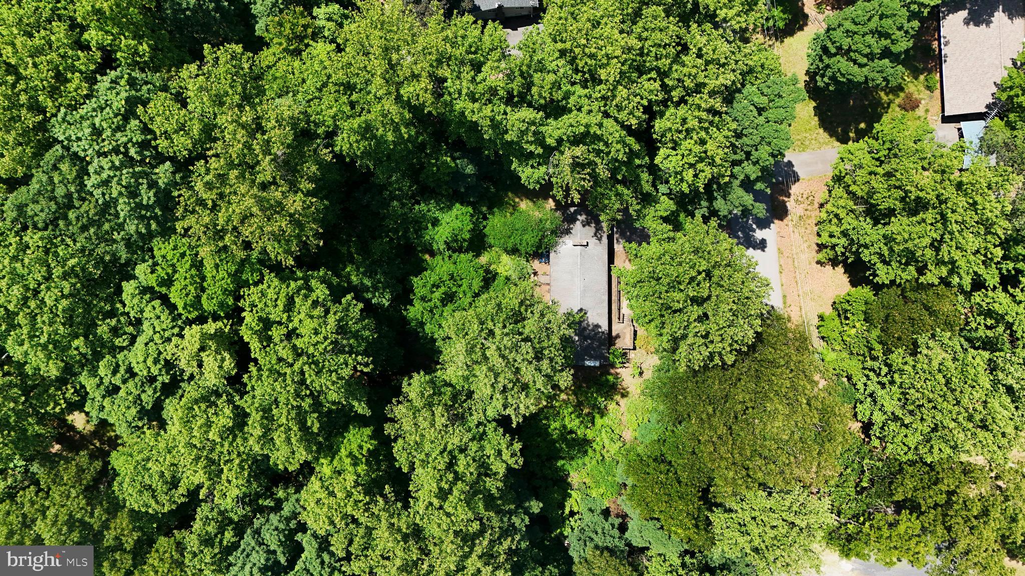 SHANNONDALE - Residential