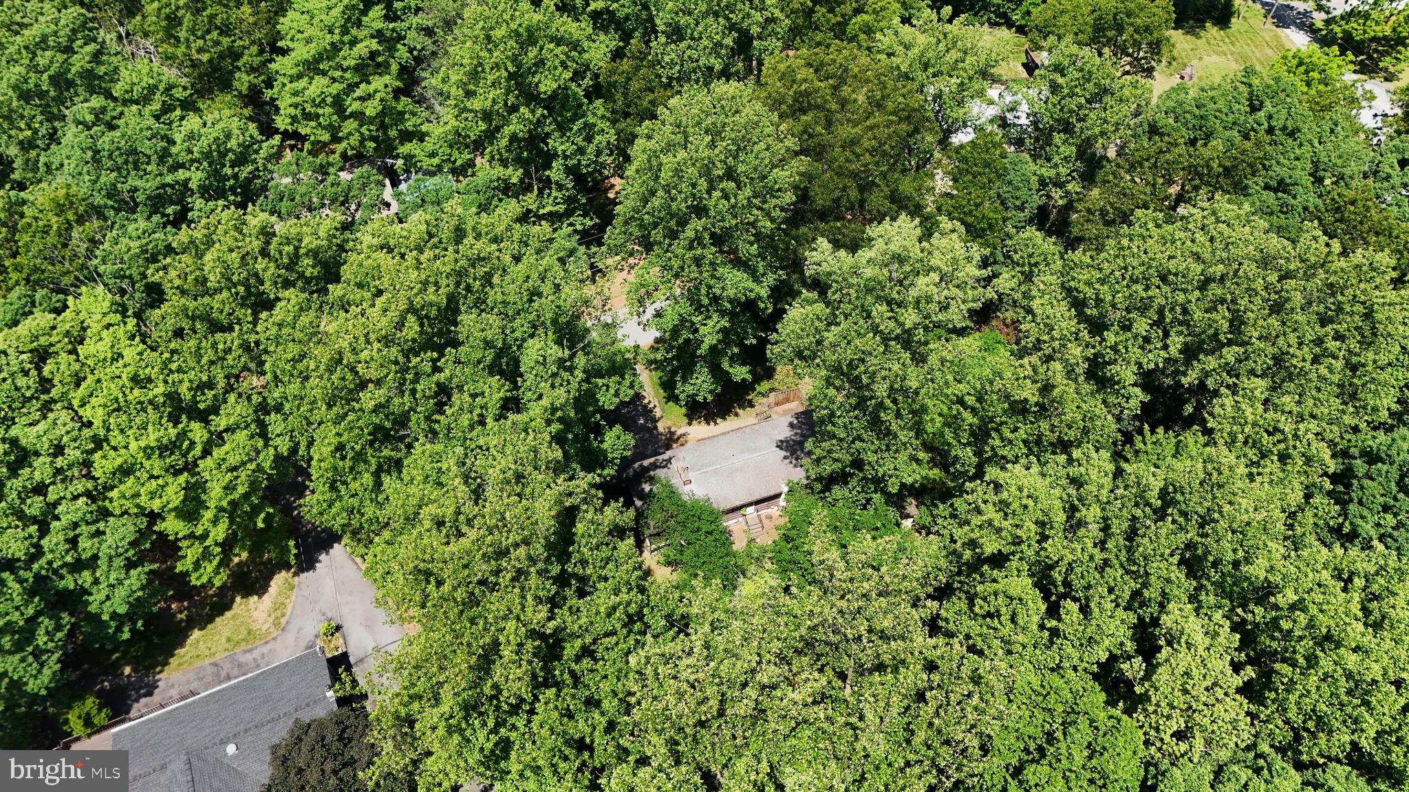 SHANNONDALE - Residential