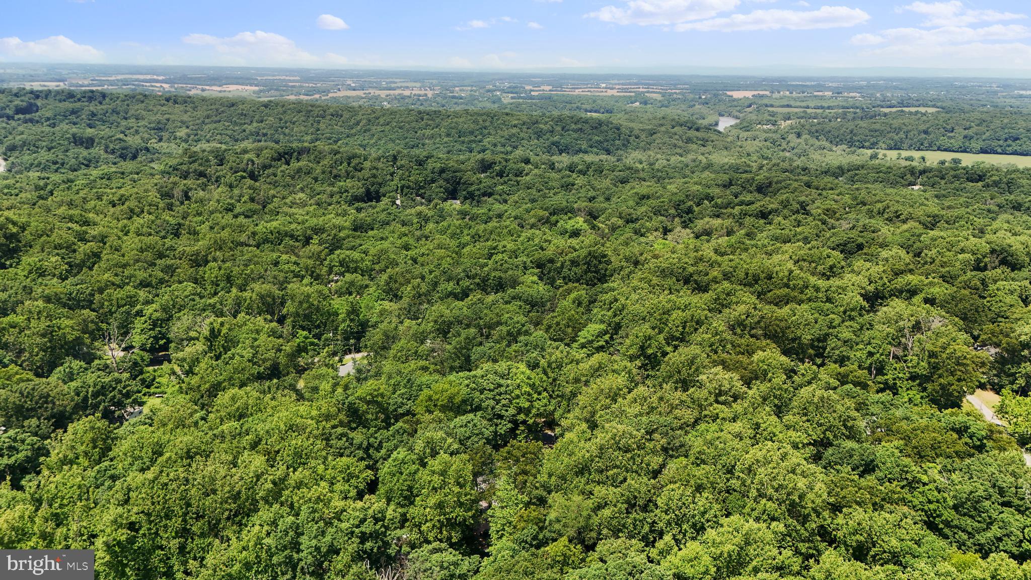 SHANNONDALE - Residential