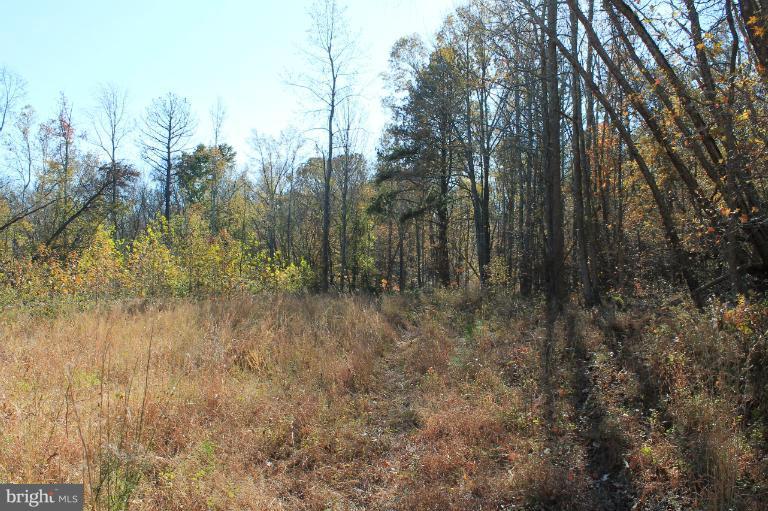 PARCEL OF LONG PROPERTY - Land