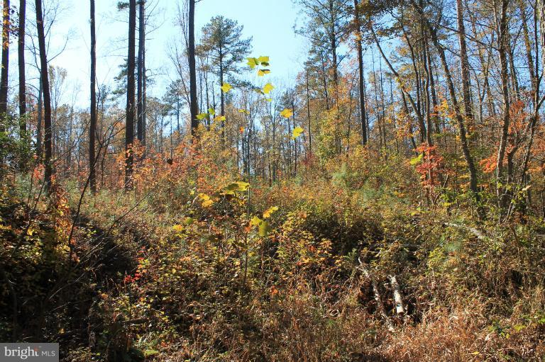 PARCEL OF LONG PROPERTY - Land