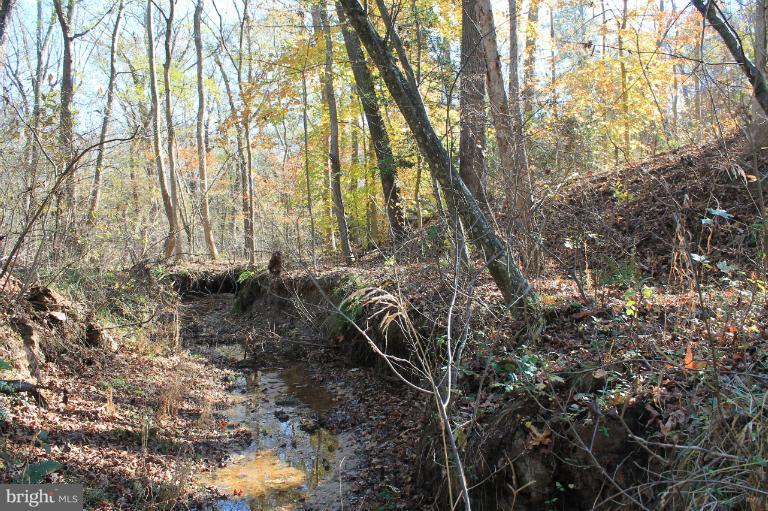 PARCEL OF LONG PROPERTY - Land