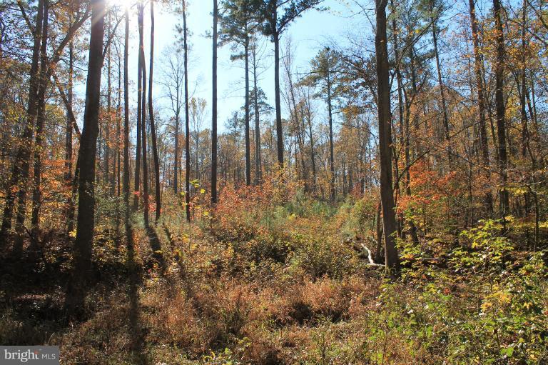 PARCEL OF LONG PROPERTY - Land