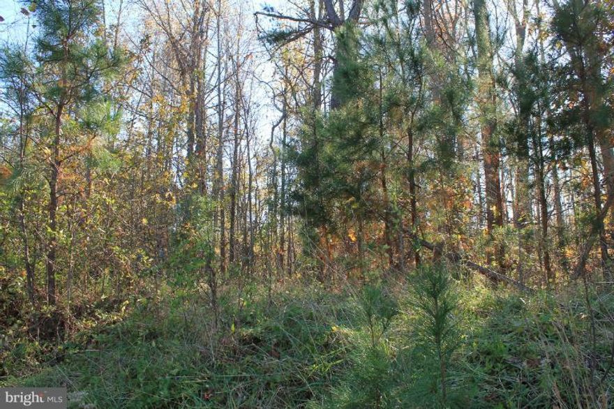 Conveniently located wooded 3 acre building lot ready for a new home!  Approved Perc, recorded plat and SEPTIC PERMIT. Purchaser to verify all percs, plats, building permit use, etc.   3 additional building lots available next to this one!  Builders encouraged to make an offer.