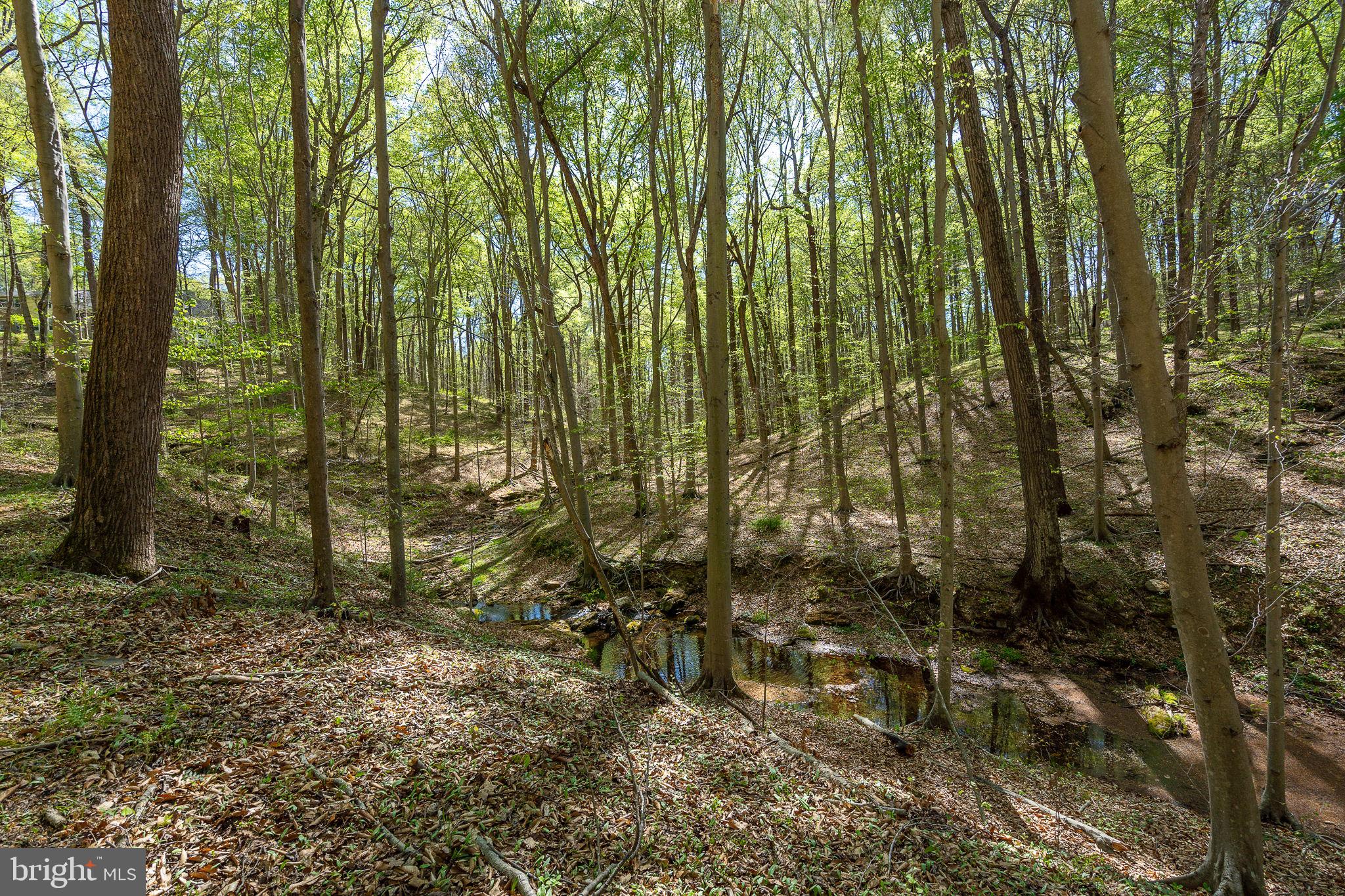 NICHOLSONS MANOR - Residential