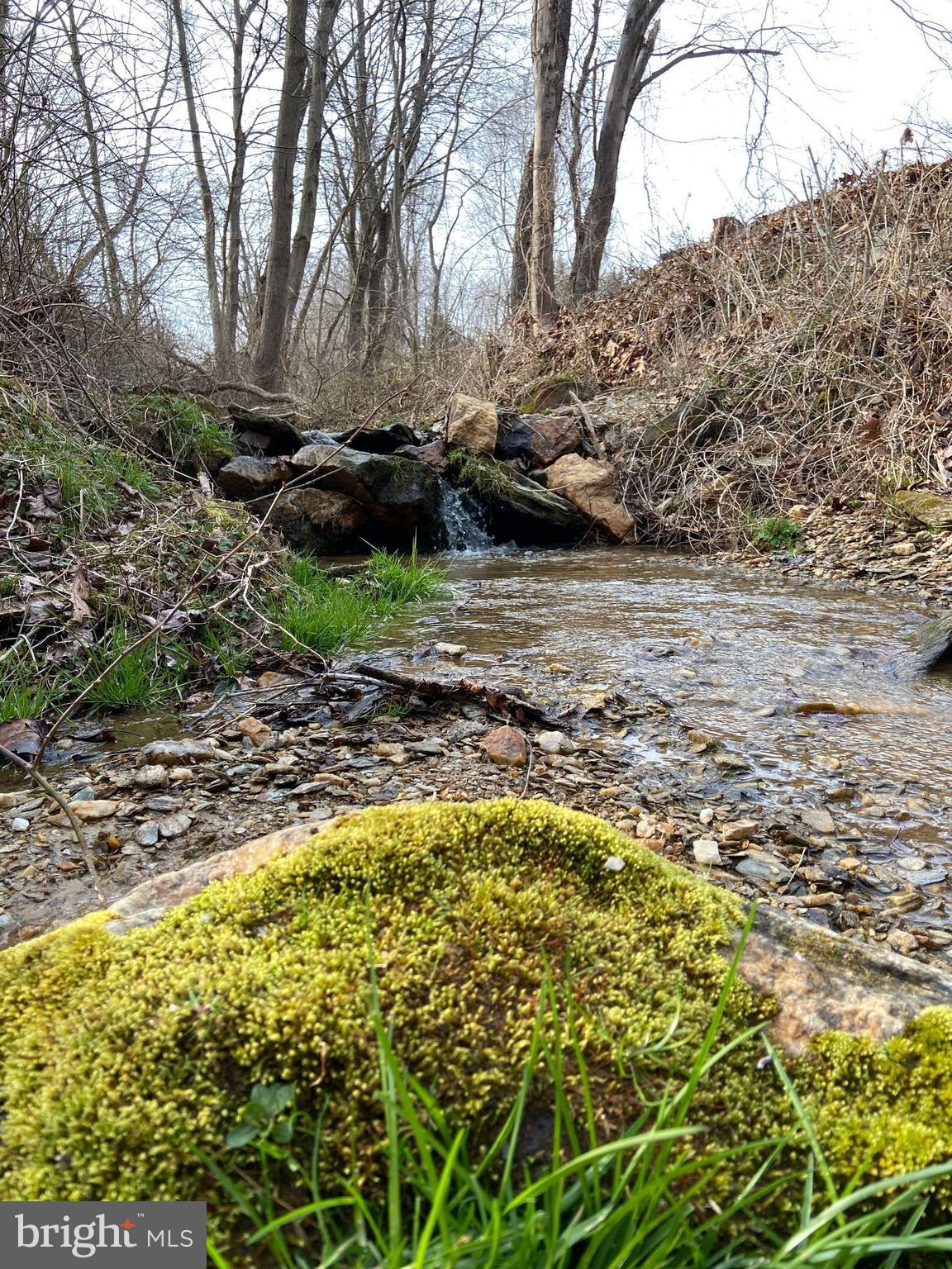 MADONNA MEADOWS - Residential