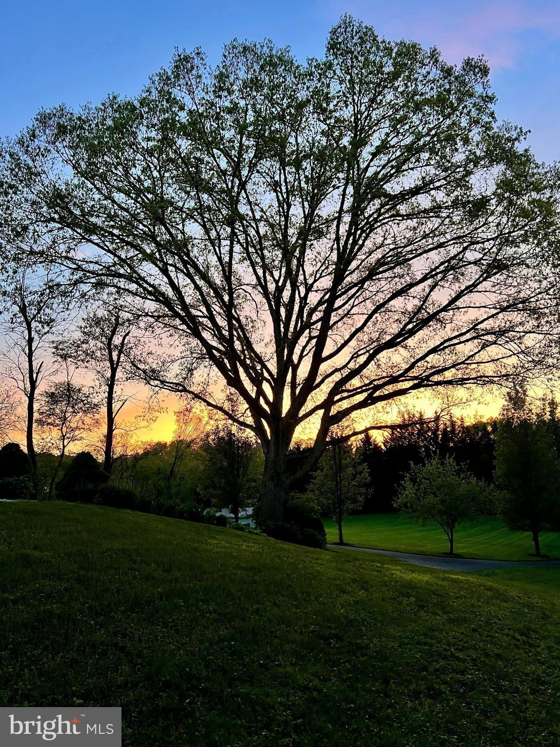 MADONNA MEADOWS - Residential