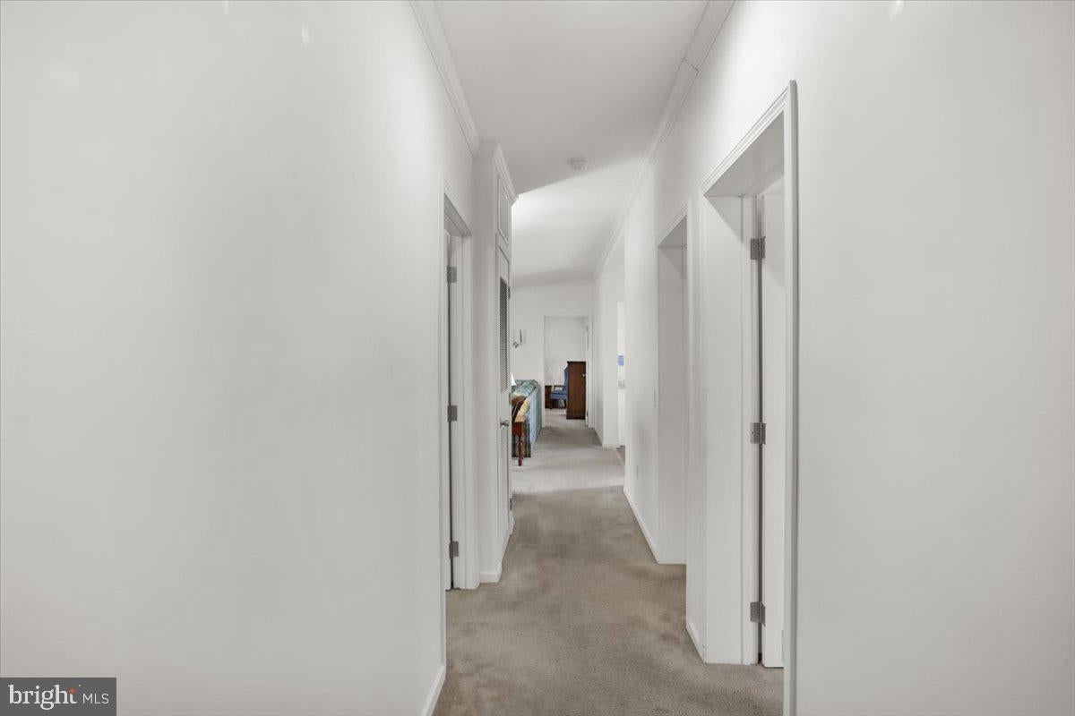 24 WALMONT STREET