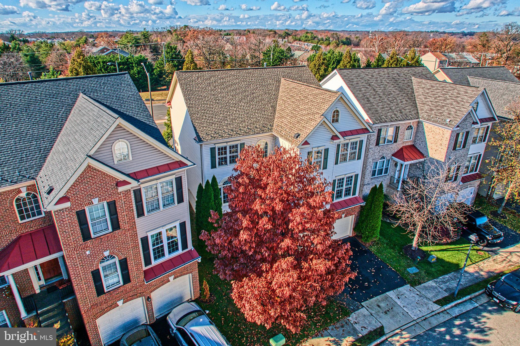 LYNDAM HILL - Residential