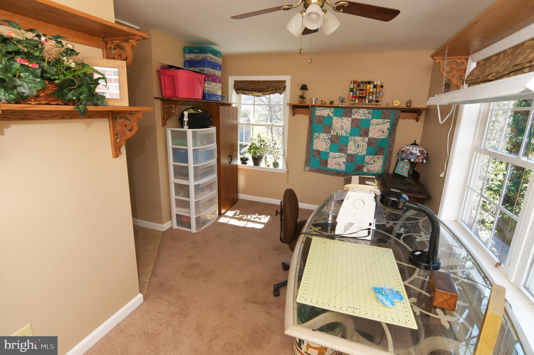 CACAPON RIVER RECREATION - Residential