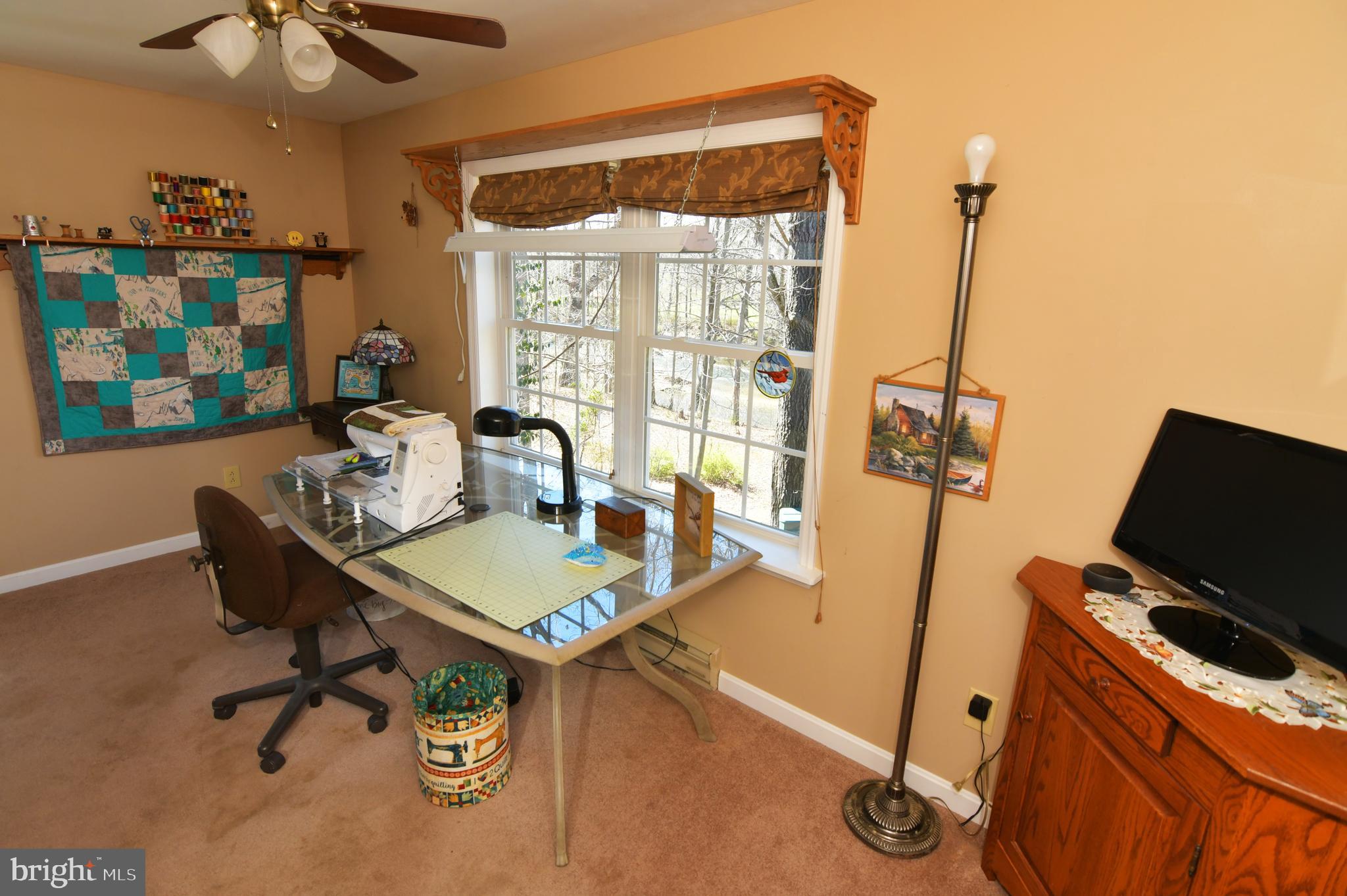 CACAPON RIVER RECREATION - Residential