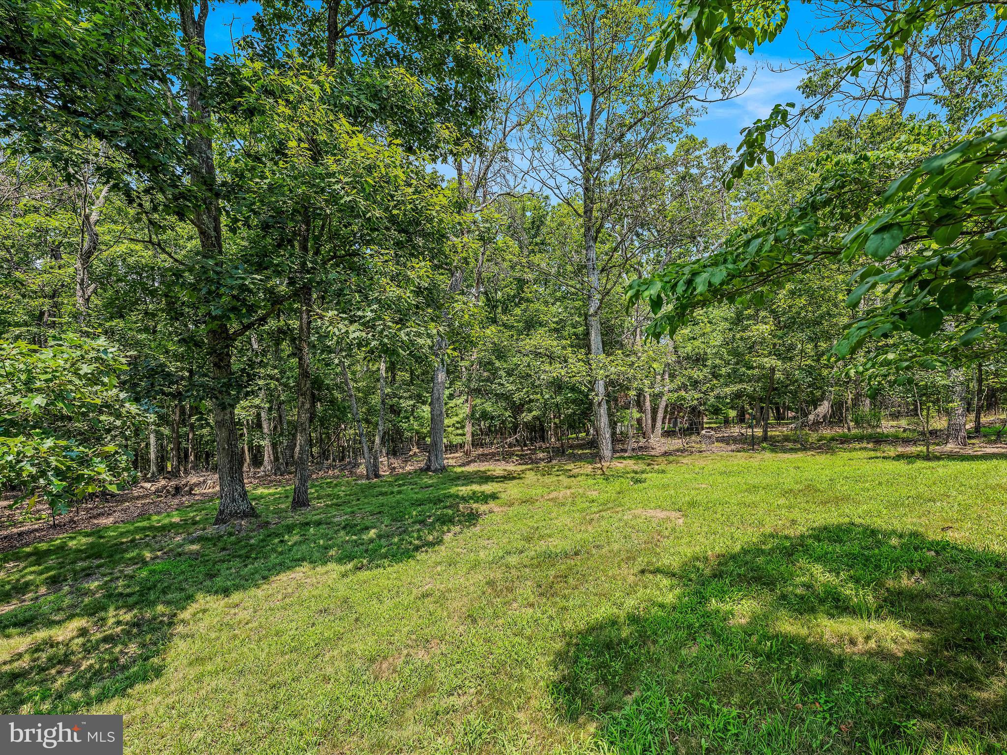 CACAPON SOUTH - Residential