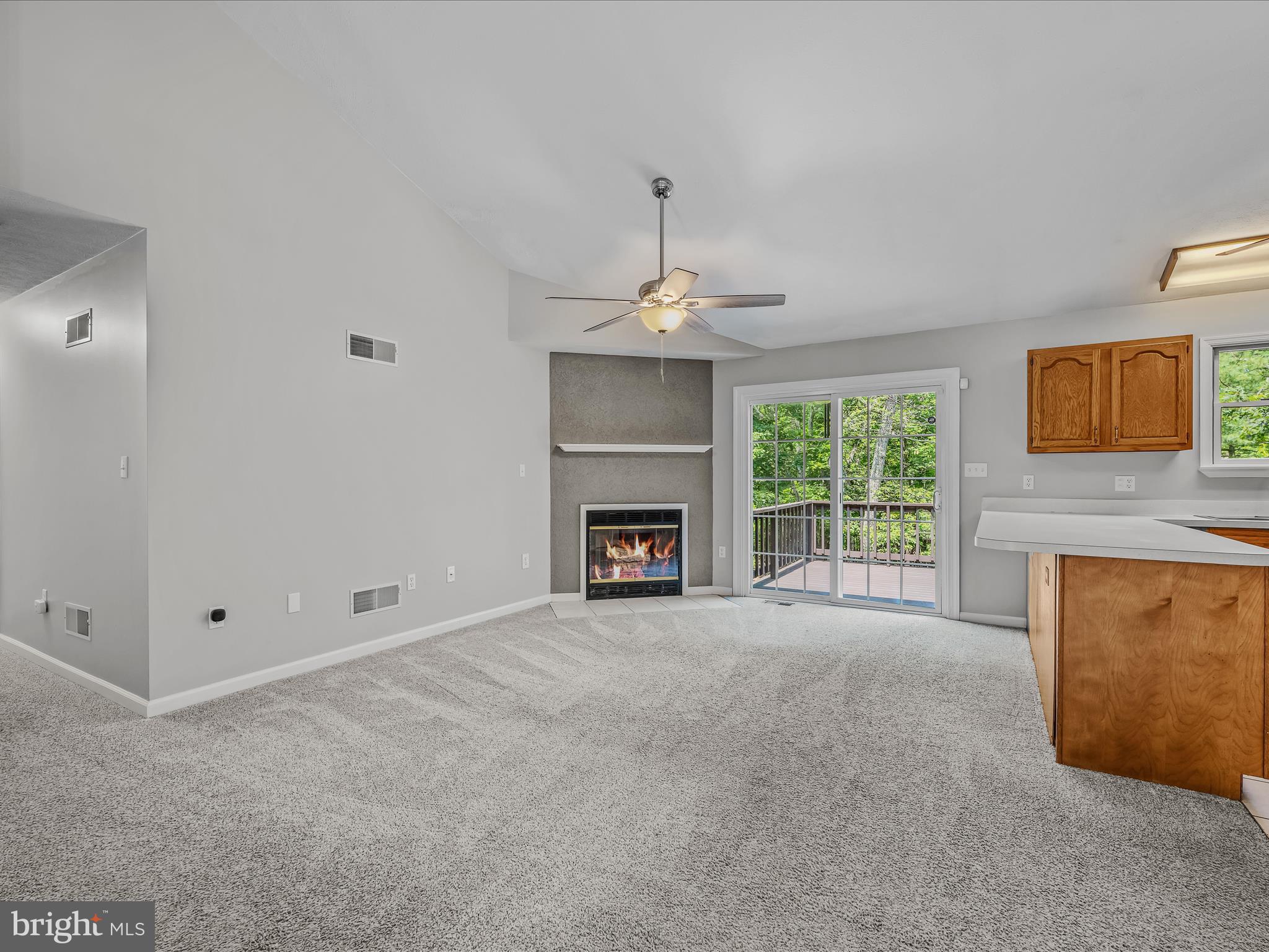 CACAPON SOUTH - Residential