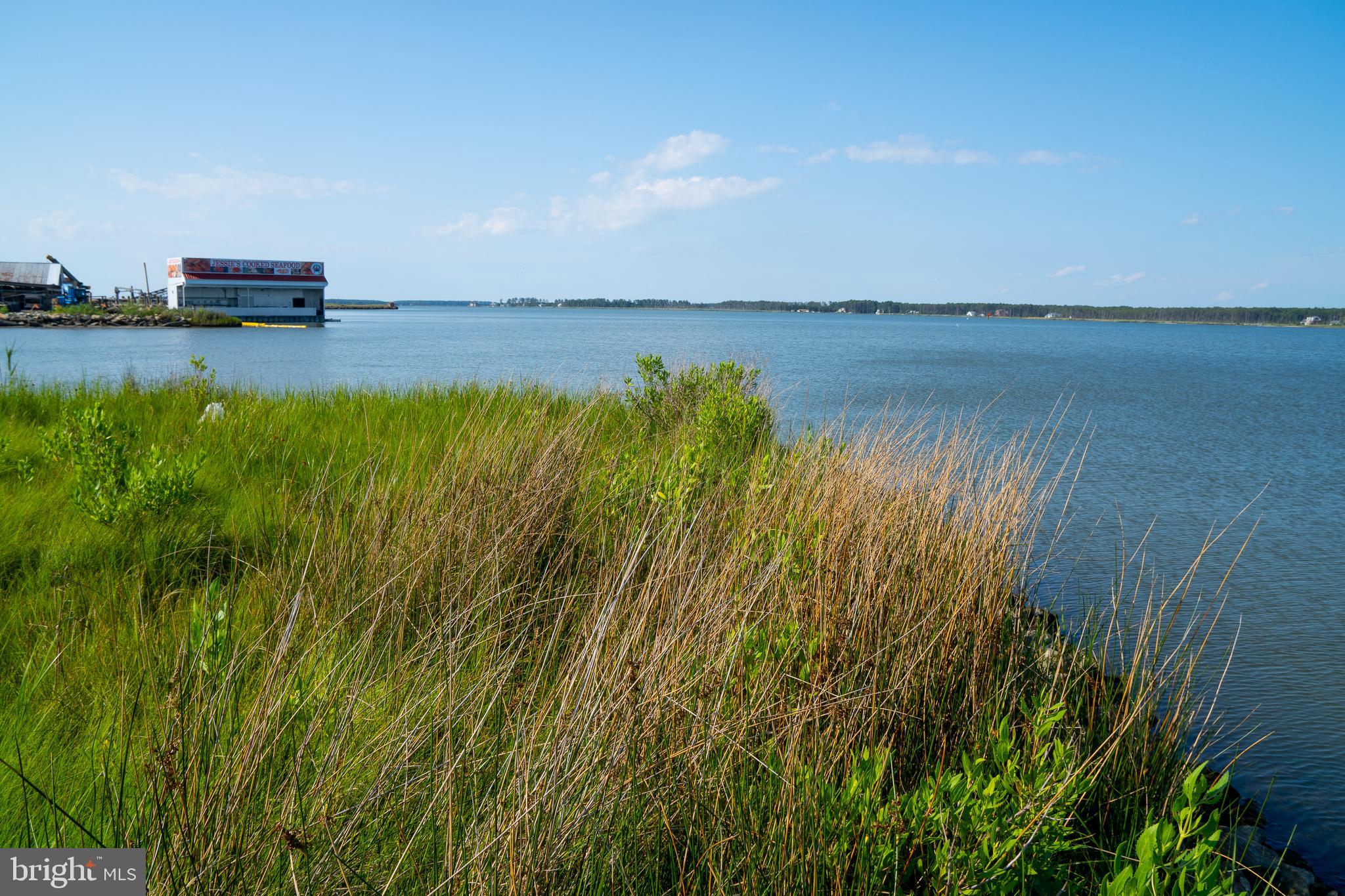MADISON - Residential