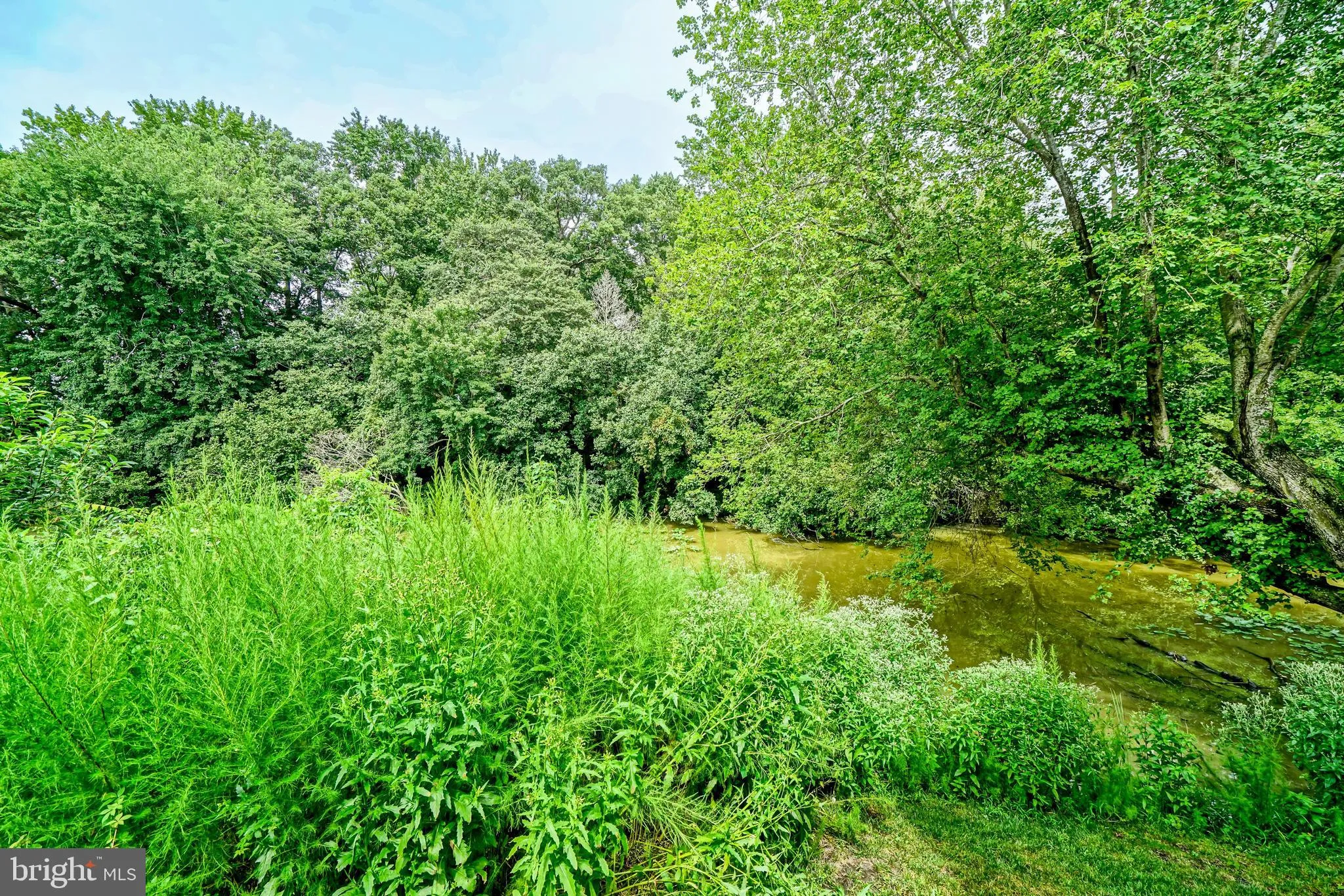 Milton, Delaware 19968, United States, 4 Bedrooms Bedrooms, ,3 BathroomsBathrooms,Residential,Active,198614