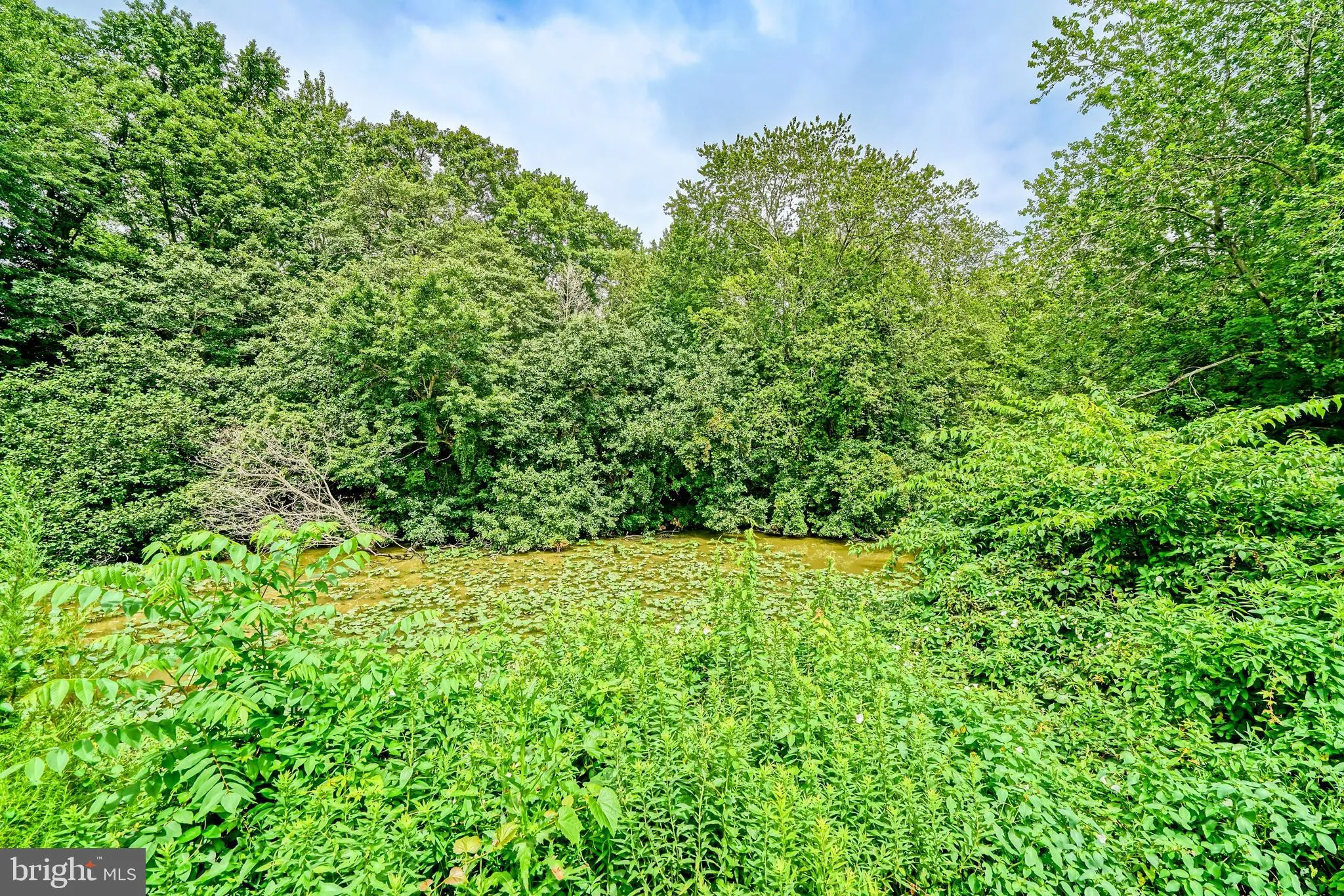 Milton, Delaware 19968, United States, 4 Bedrooms Bedrooms, ,3 BathroomsBathrooms,Residential,Active,198614