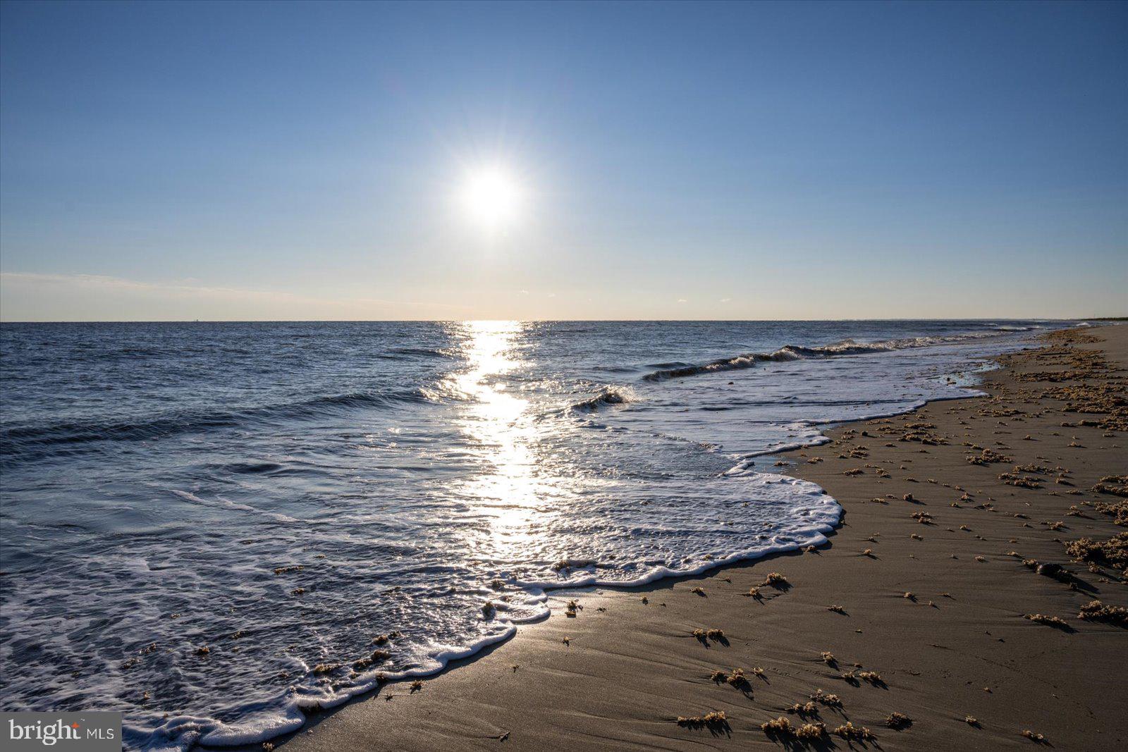 BACK BAY COVE - Residential