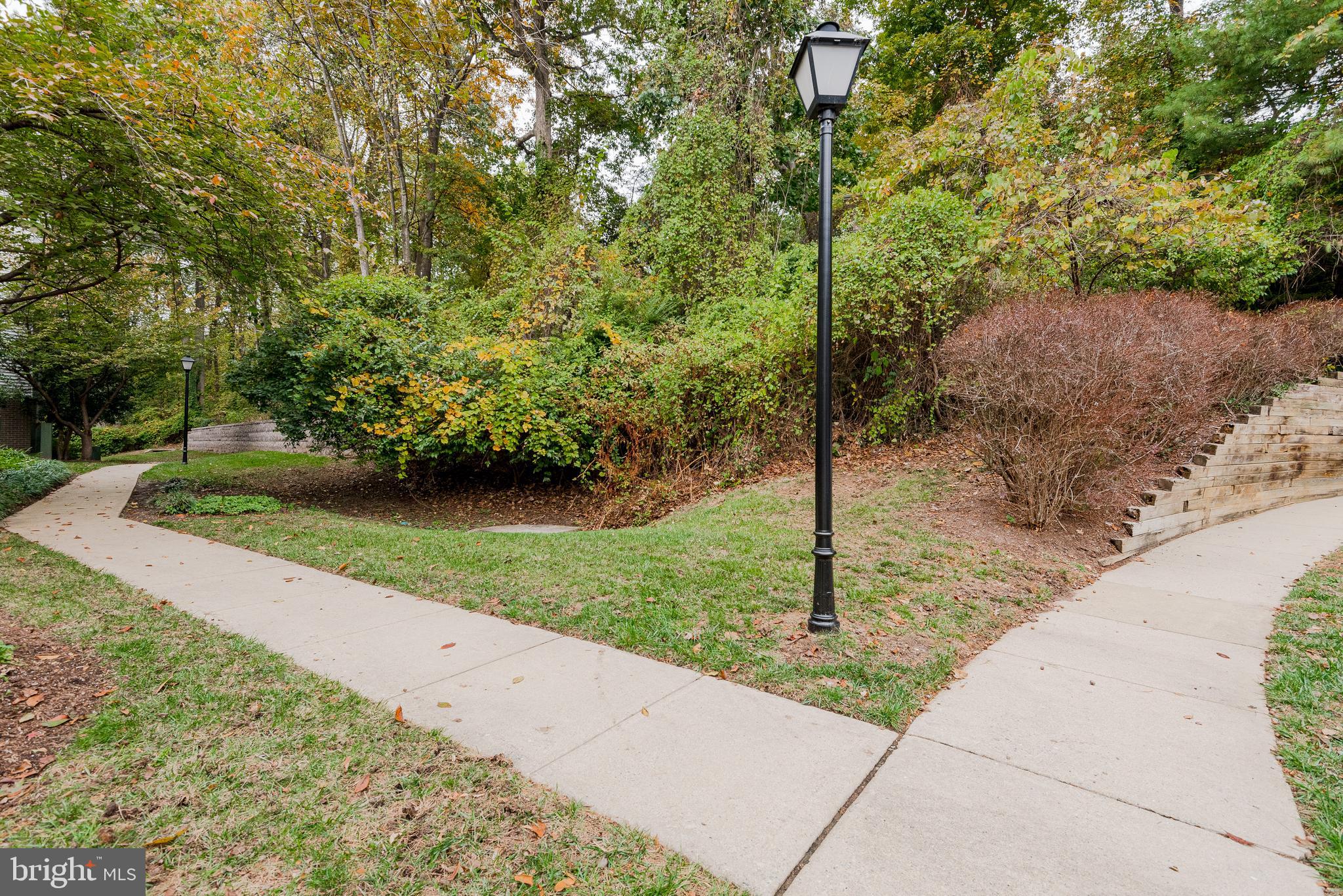 LAFAYETTE FOREST - Residential
