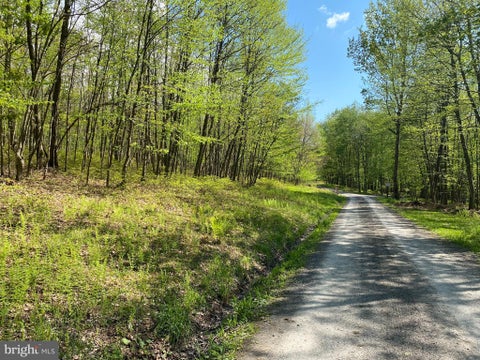 Vacant Land For Sale - Betts Lane<br/> OAKLAND, MD 21550