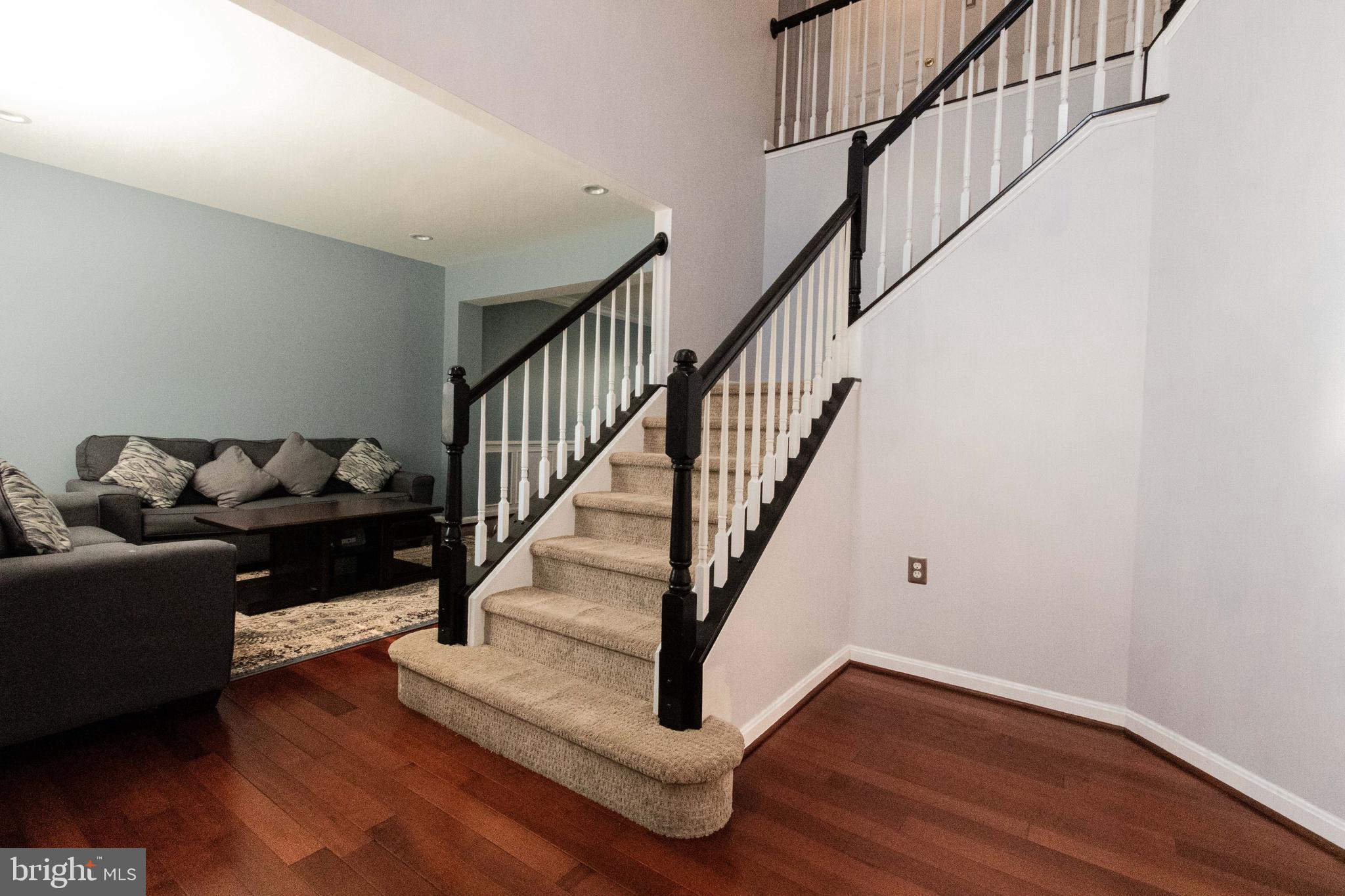 POTOMAC STATION - Residential