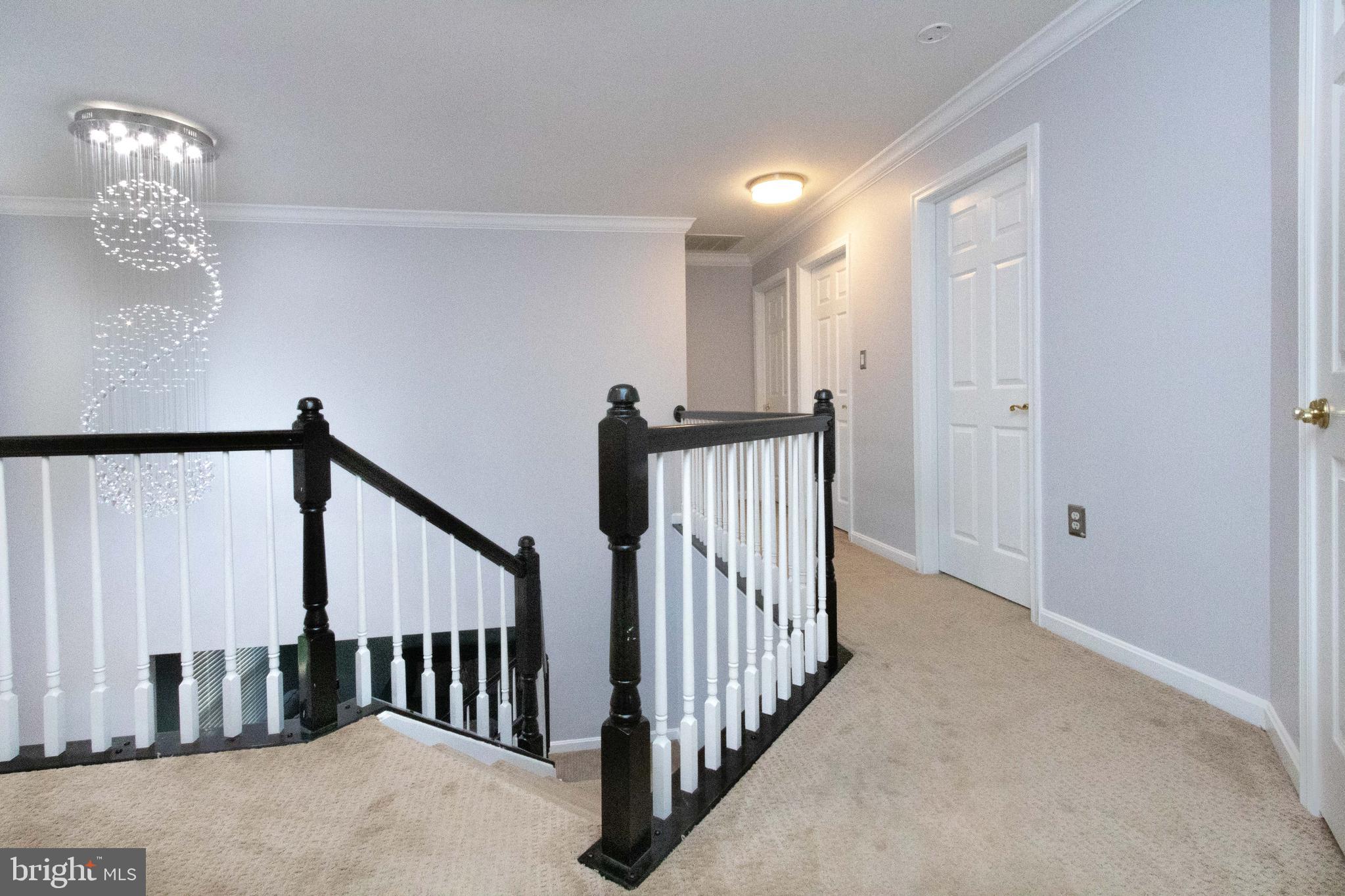 POTOMAC STATION - Residential