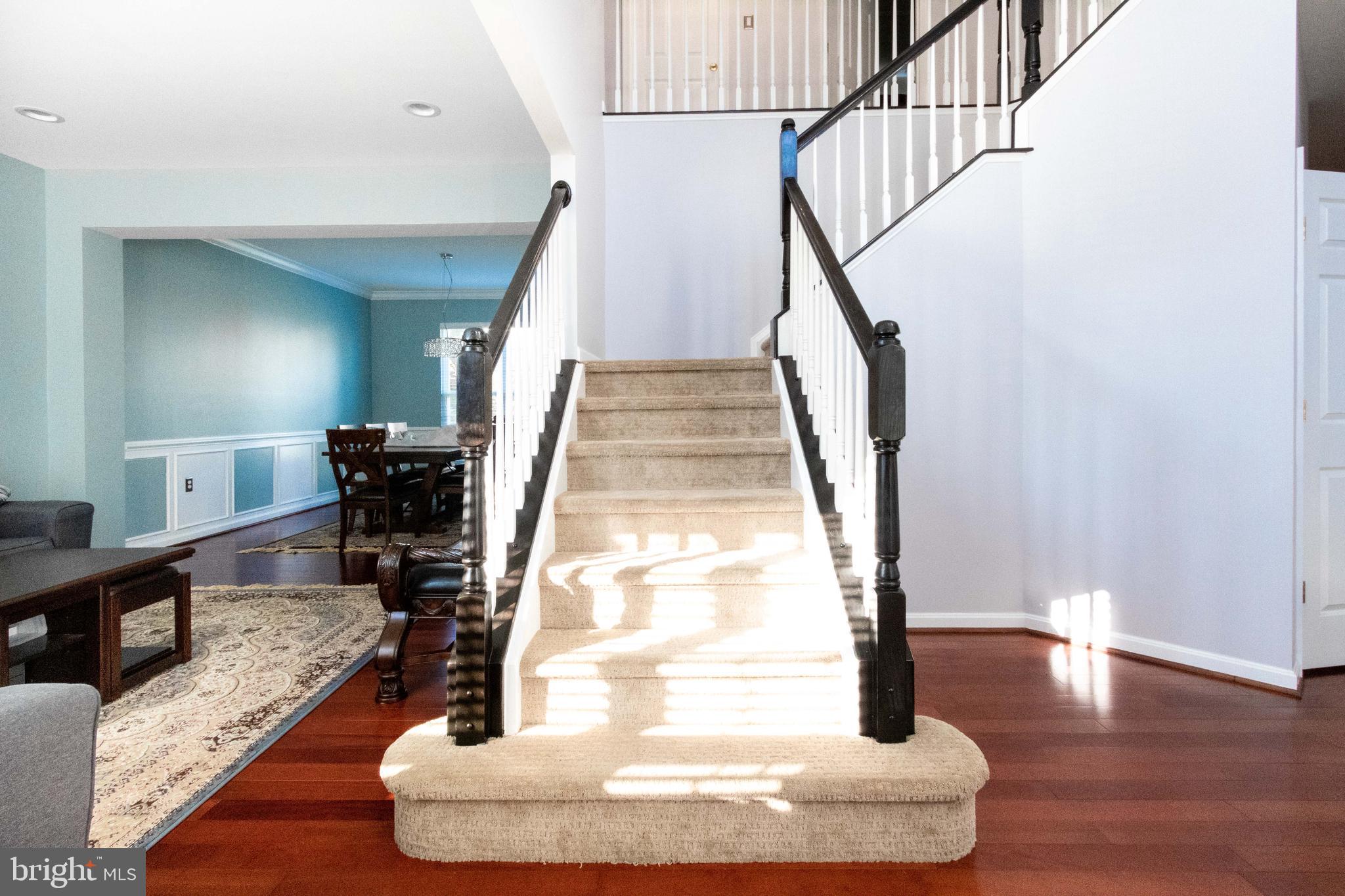 POTOMAC STATION - Residential