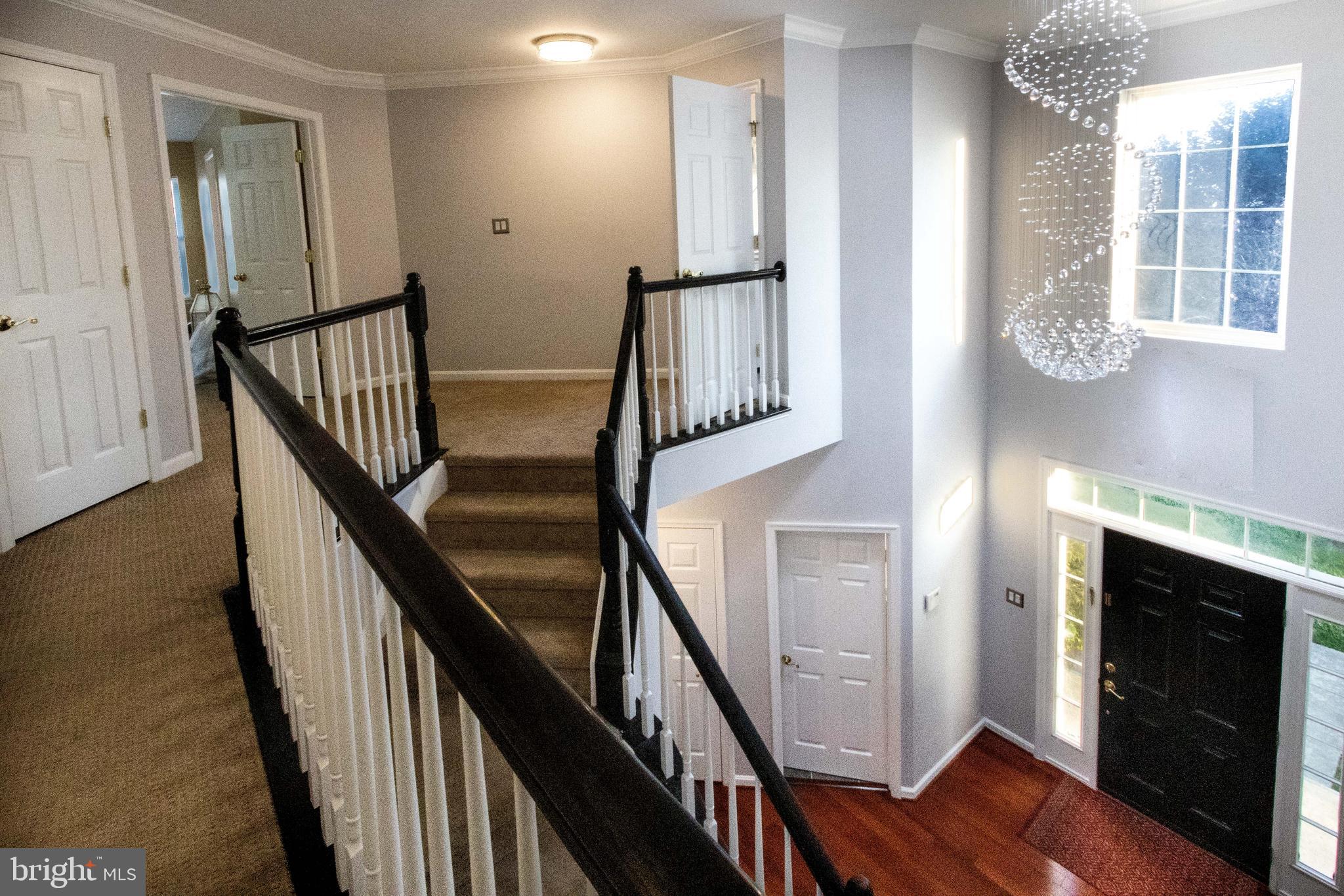 POTOMAC STATION - Residential