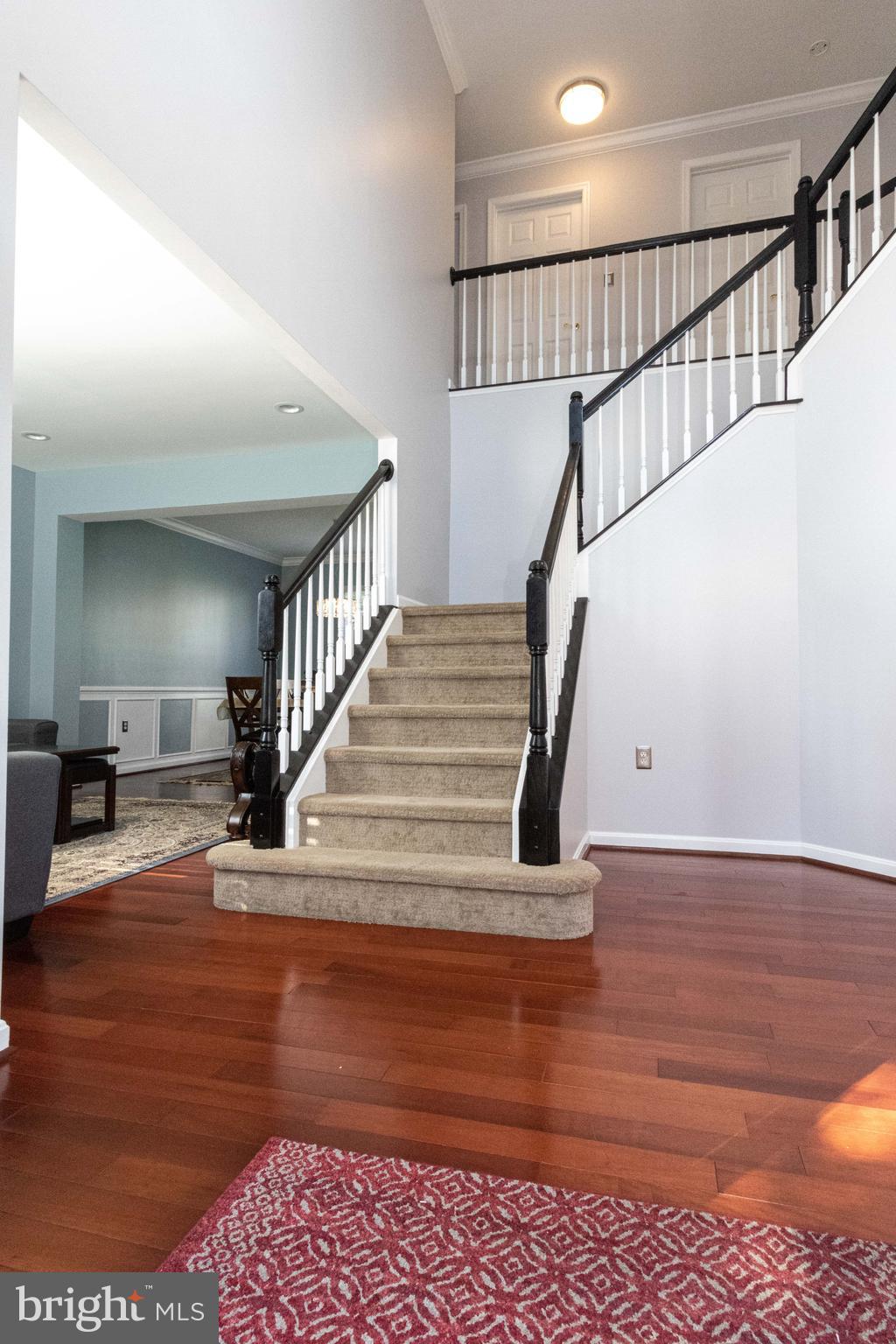 POTOMAC STATION - Residential