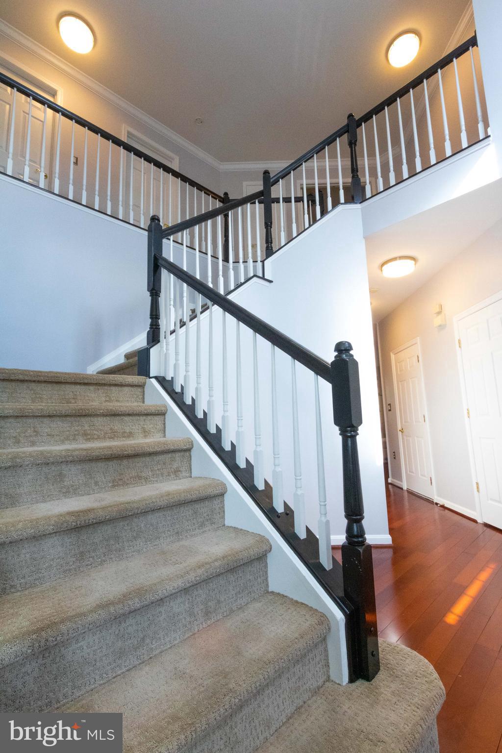 POTOMAC STATION - Residential