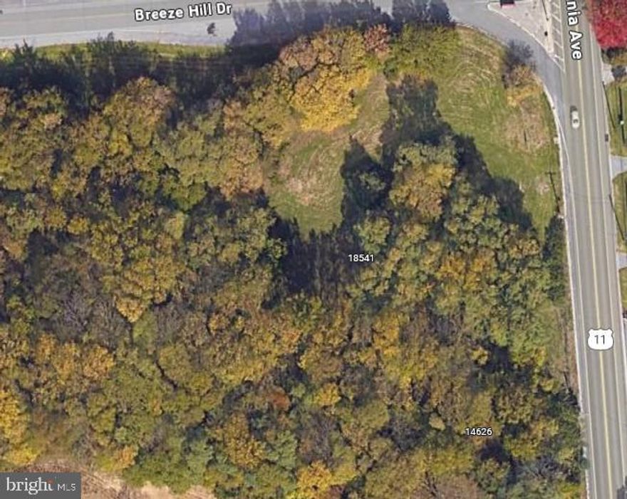 Commercial lot of 2.69 acres along Route 11/Pennsylvania Avenue and Breeze Hill Drive now available! Close to Interstate 81 Exit 1. All trees may be removed for any new construction as the Seller has already planted replacement trees in the town of Hancock, MD.
NOTICE TO BUYER: Owner is a group of real estate licensees in the State of Maryland and possibly other States and/or Commonwealths.