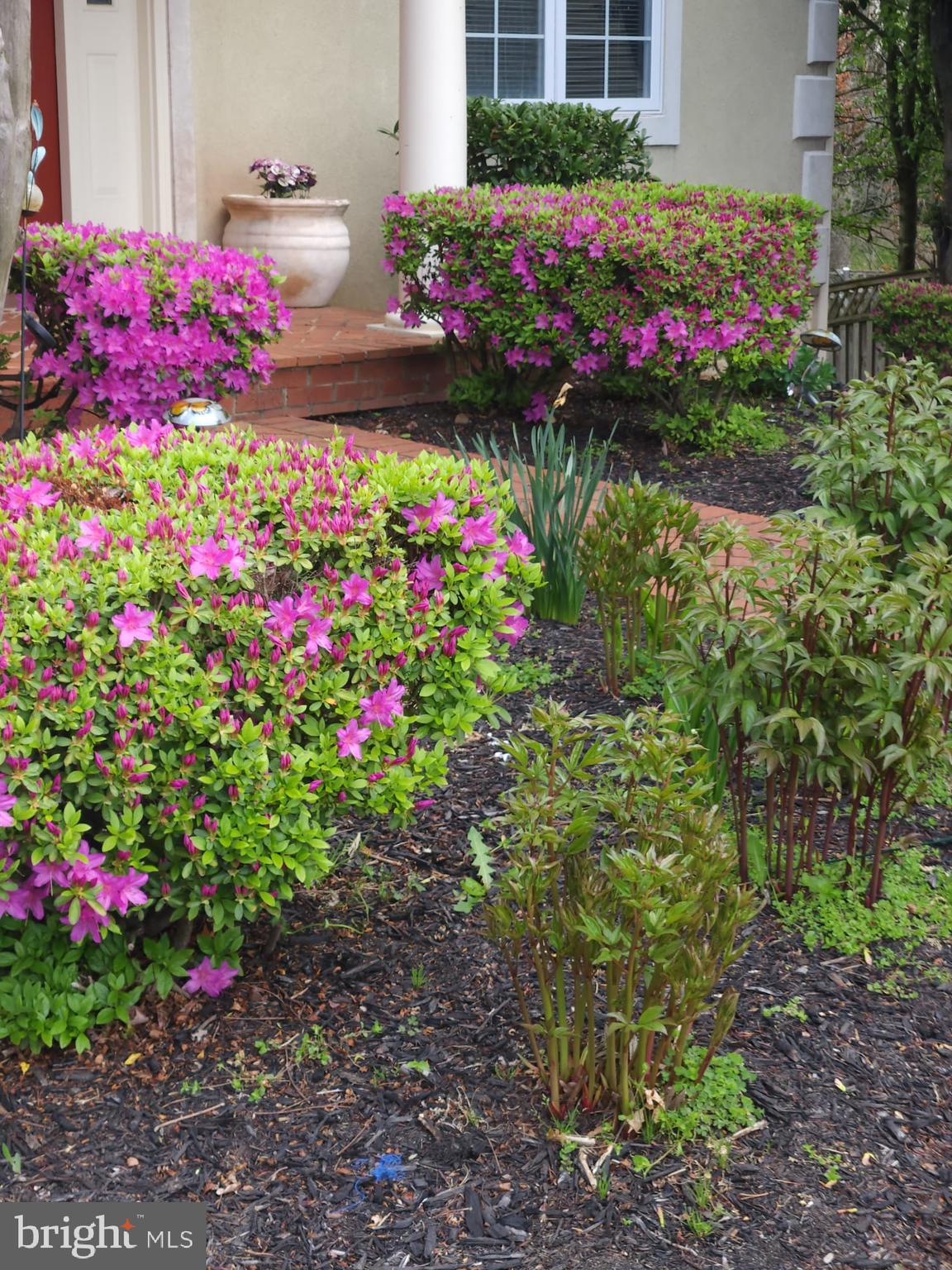 COLVIN HUNT - Residential Lease