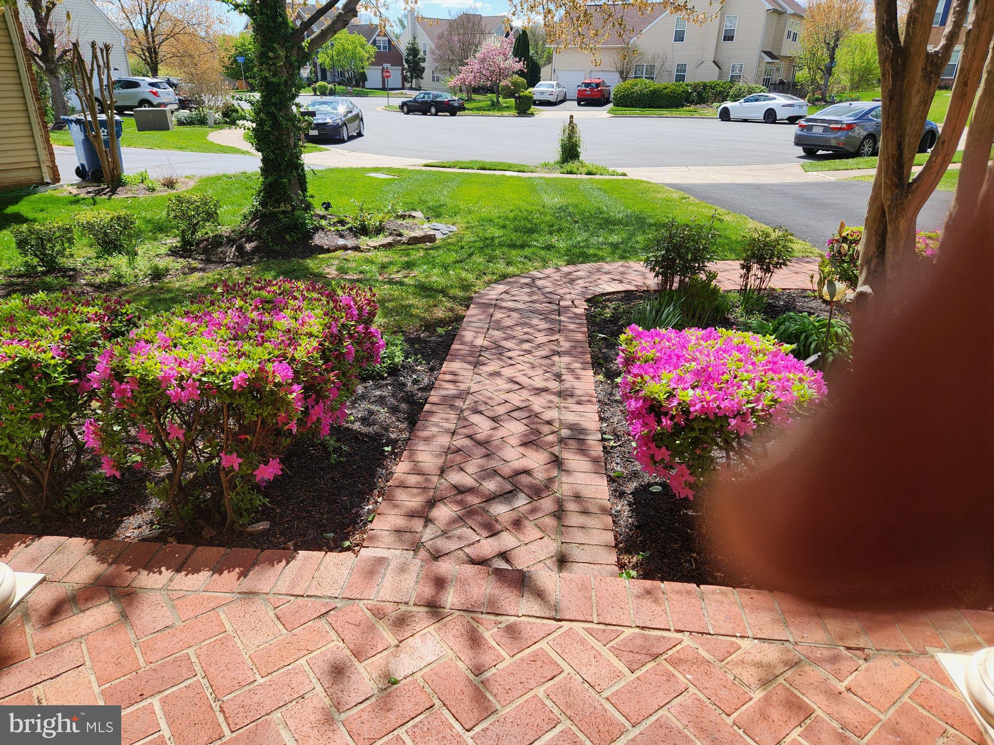 COLVIN HUNT - Residential Lease