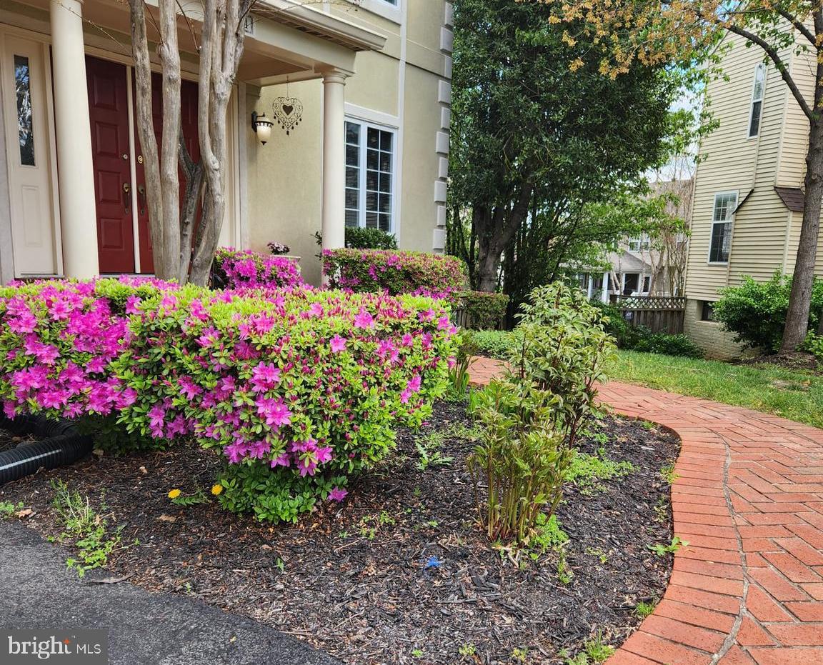 COLVIN HUNT - Residential Lease