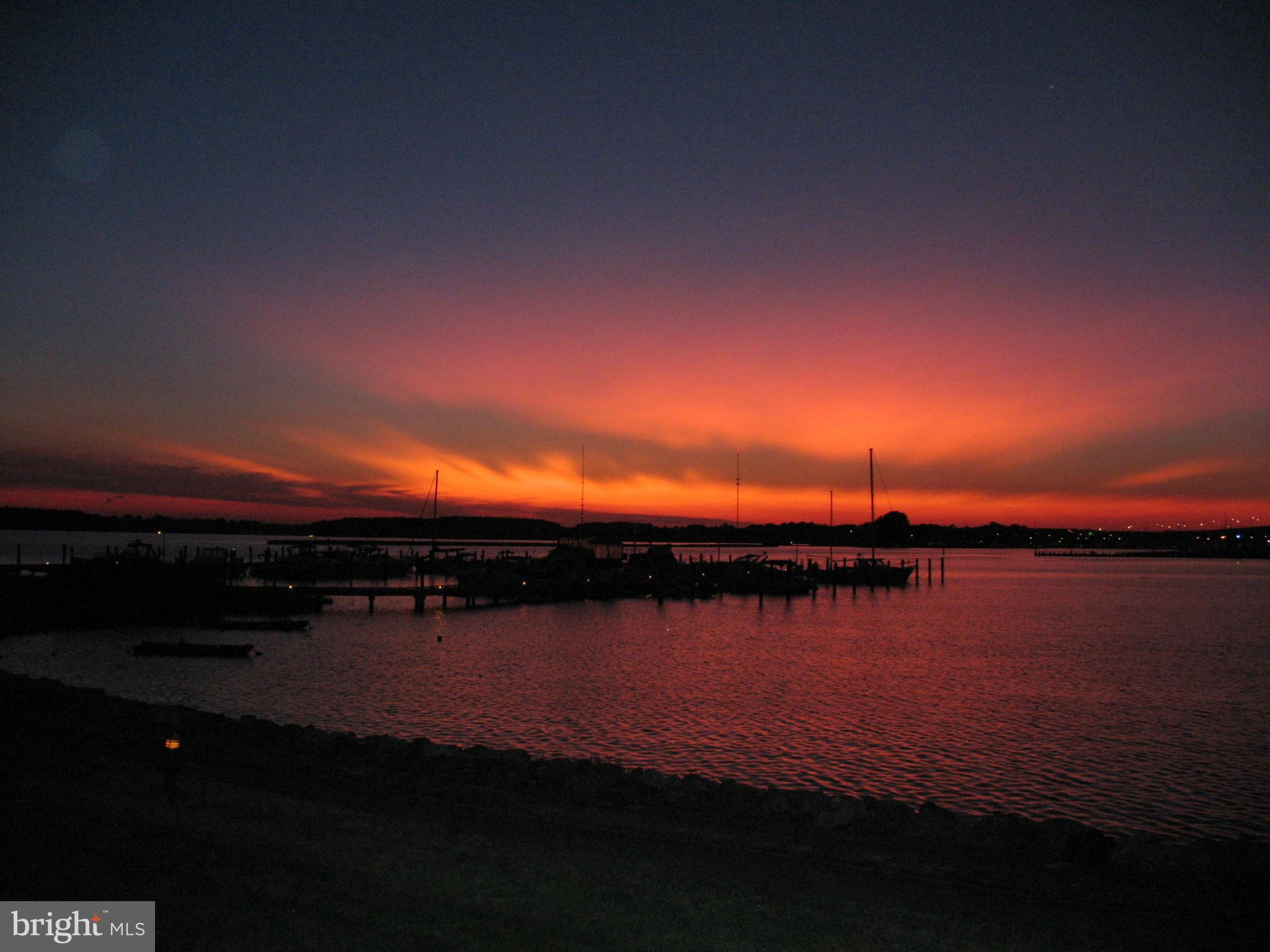 OYSTER COVE - Residential Lease