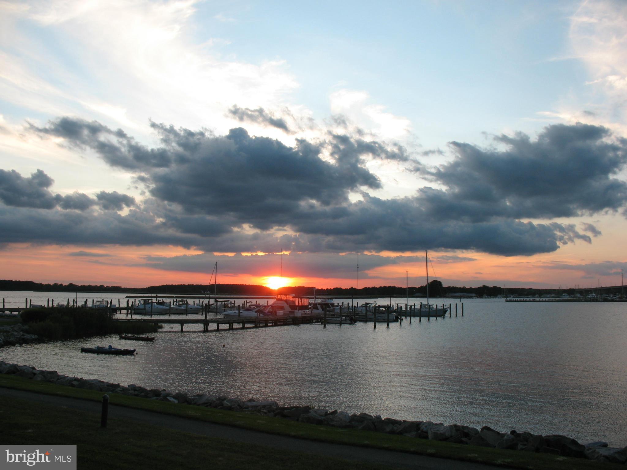 OYSTER COVE - Residential Lease