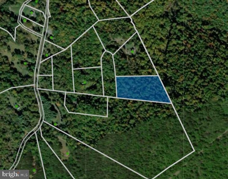Build your own home on a little piece of heaven off of desired Browntown area. Over 5 wooded acres backing to Skyline Drive property with a natural spring. Close to town amenities with the added bonus of privacy. Great views with rolling hills. Lot is located at the end of Cardinal Wind Dr with no through traffic. Great for nature lovers.