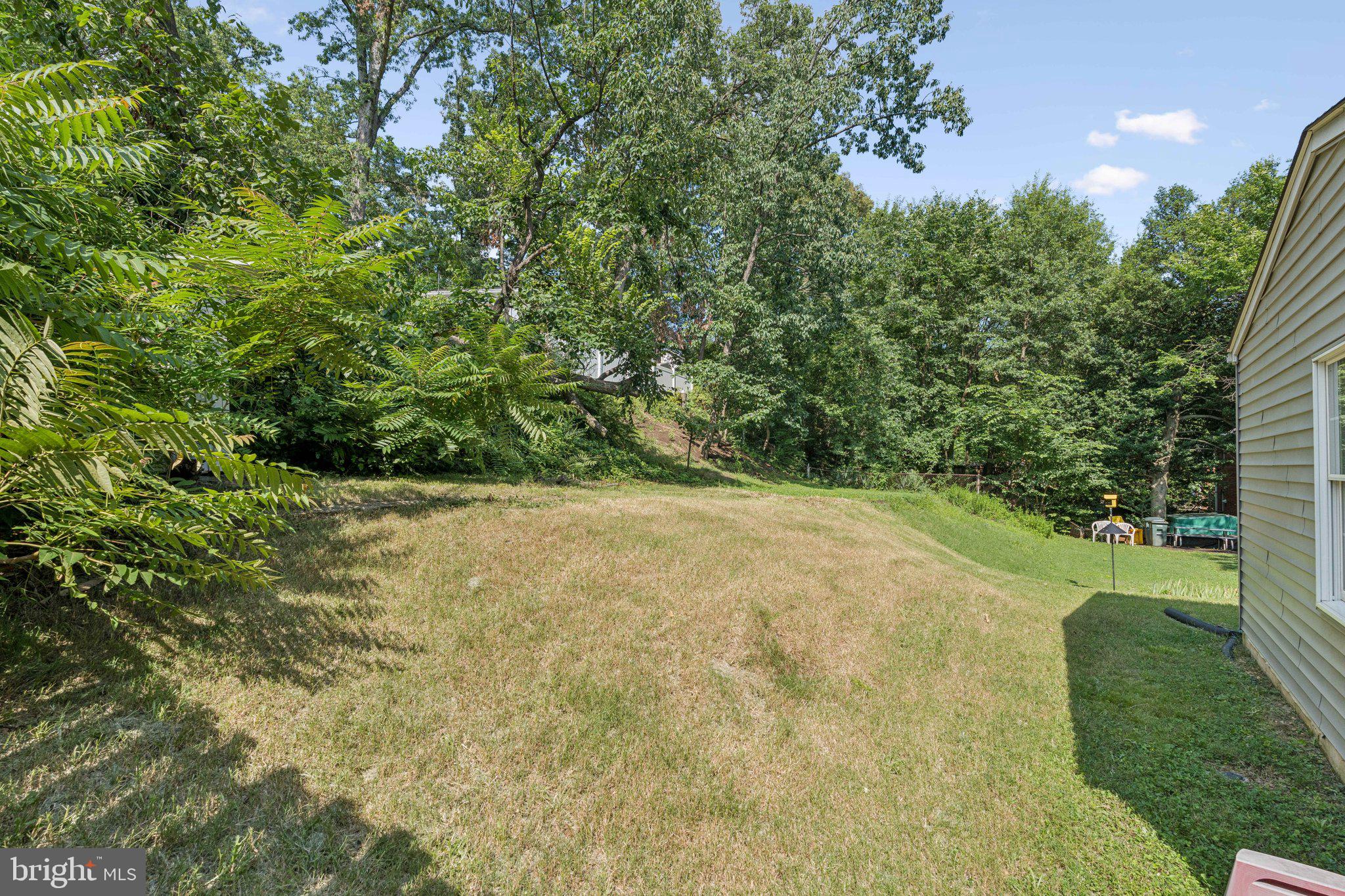 COLUMBIA FOREST - Residential