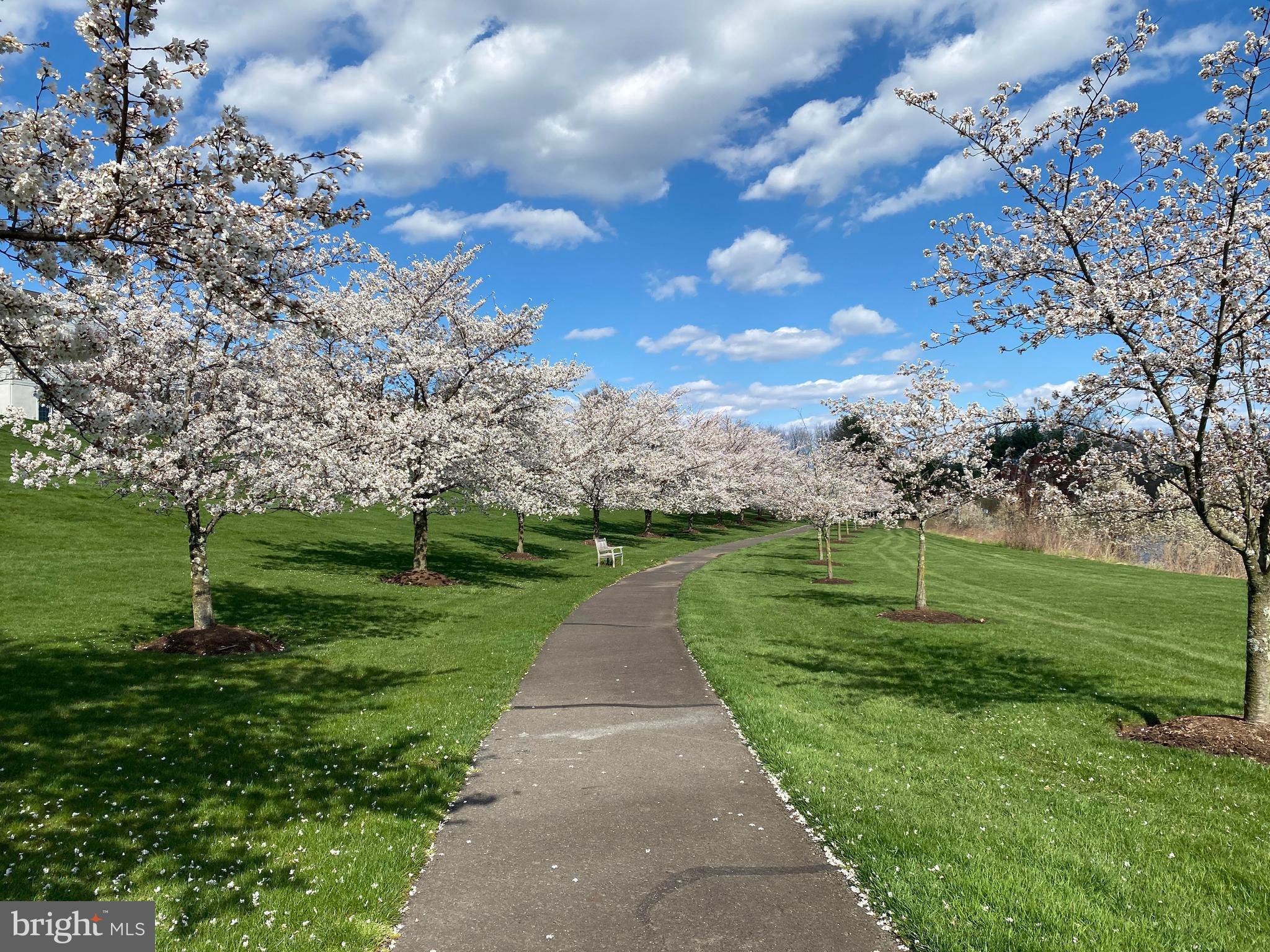 REGENCY AT NORTHAM - Residential