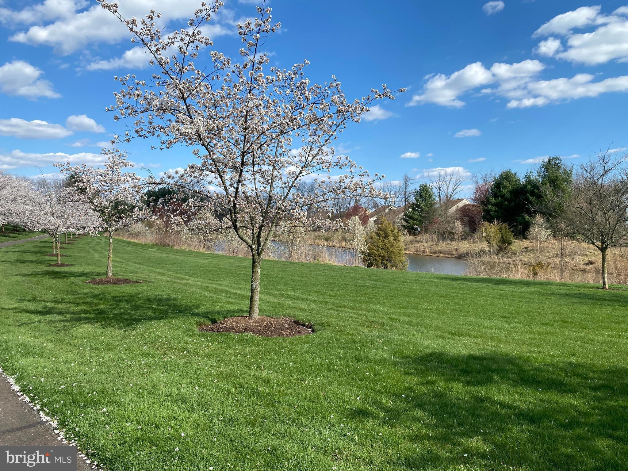 REGENCY AT NORTHAM - Residential