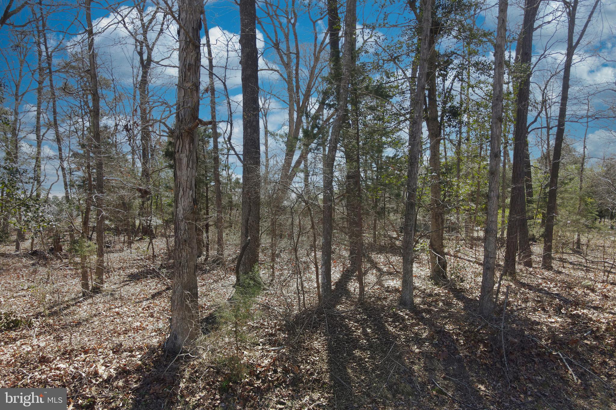 CAPTAIN'S COVE - Land