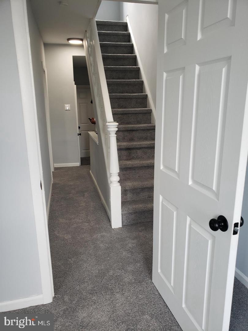 WEST KENSINGTON - Residential