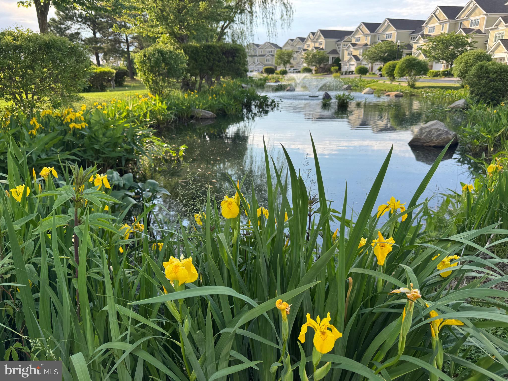 NARROWS POINTE - Residential