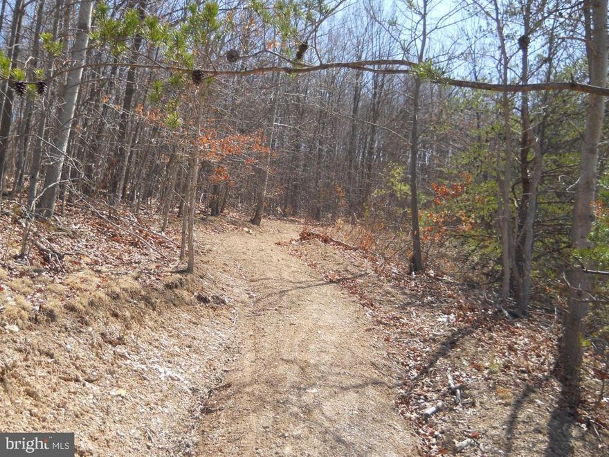 125 Acre woodlands in S Huntingdon County w-beautiful views of mountains & valleys. Road frontage & entry off rte 475 which follows the Aughwick Creek, fresh water stream excellent for fishing trout, rock bass, pike & sunfish. Great hunting record large game bear, whitetail deer, small game of turkey, grouse, & squirrels. Old logging roads & trails provide access for hiking & hunting.