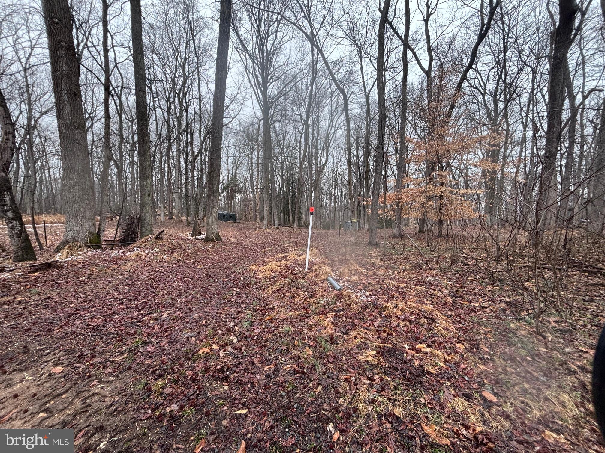 NANJEMOY ACRES SUB - Land