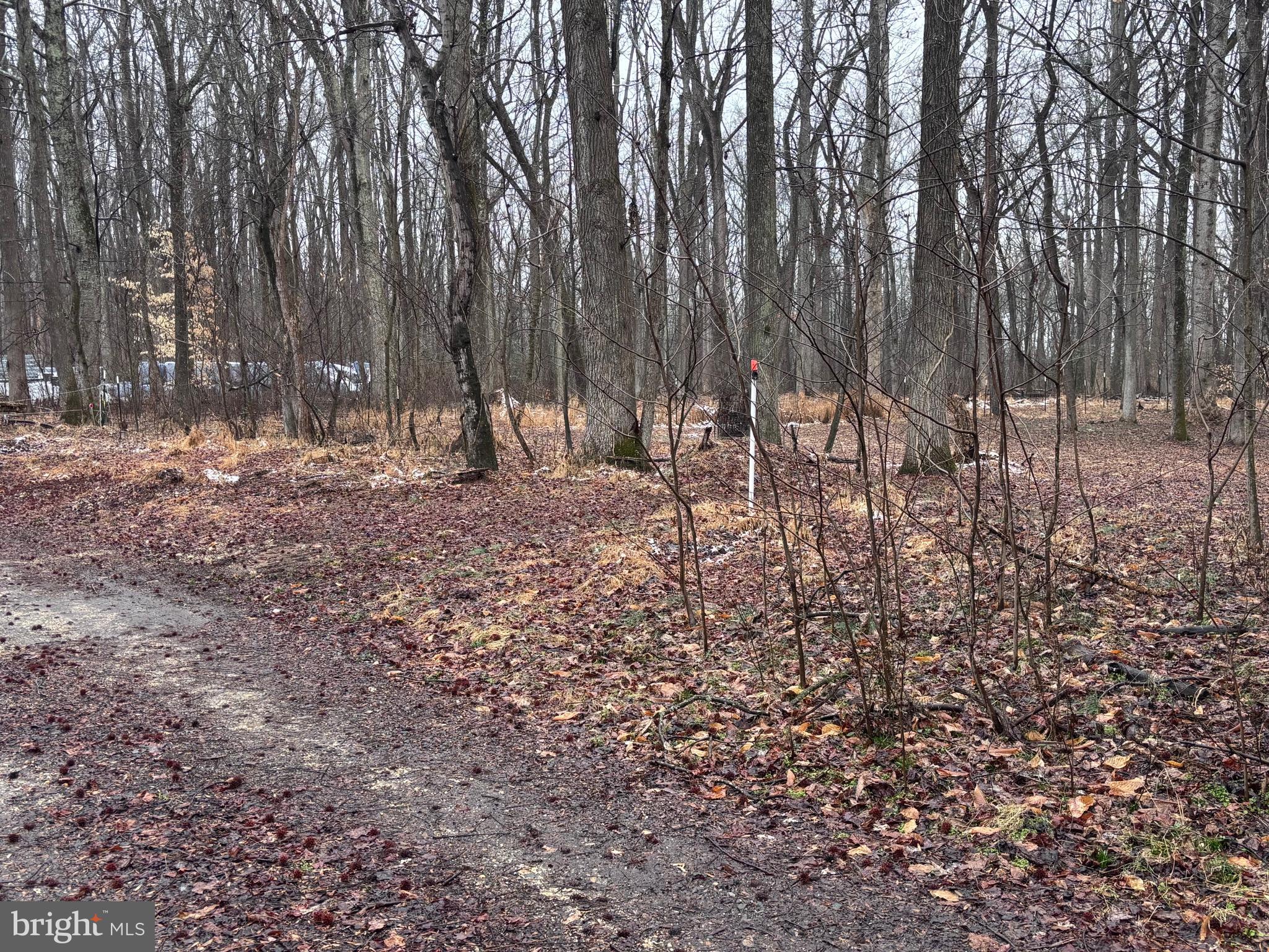 NANJEMOY ACRES SUB - Land