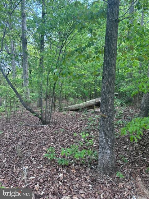 NANJEMOY ACRES SUB - Land