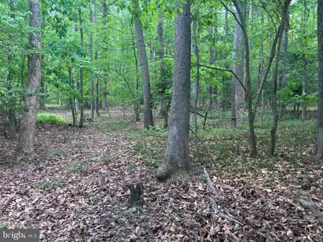 NANJEMOY ACRES SUB - Land