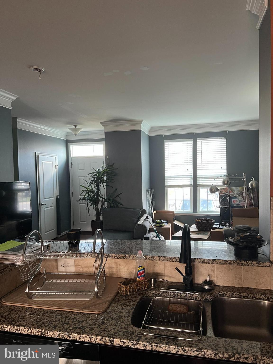 POTOMAC STATION - Residential