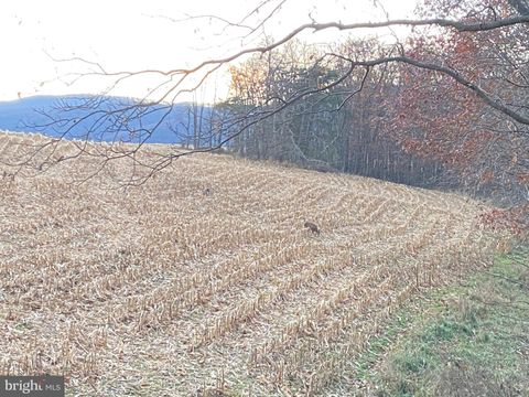 0 LLAMA LANE NEEDMORE PA 17238