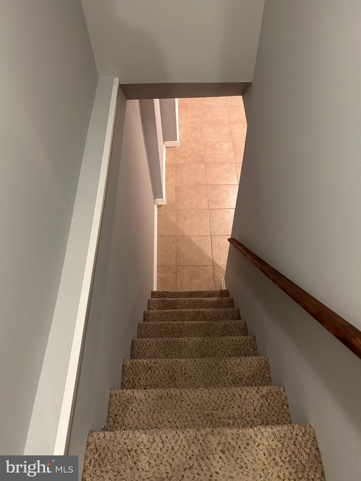 WALNUT HILL - Residential Lease